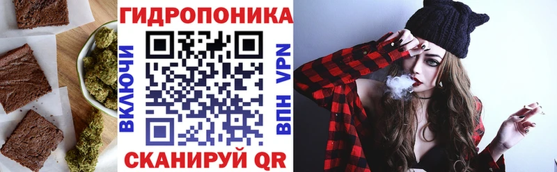 Купить закладки  Нарткала  Cannafood конопля 