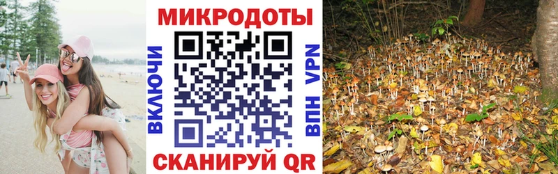Псилоцибиновые грибы Magic Shrooms  Купить  Нарткала 